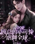 出狱后,顾总的小可怜虐翻全球 陈阿沲