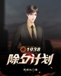 1938：除夕计划