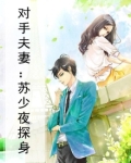 对手夫妻：苏少夜探身