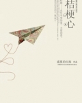 桔梗心难却小说