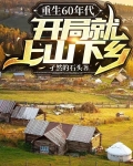 重生60年代,开局就上山下乡 孑然的石头