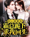 封心锁爱,这句话意思是什么?