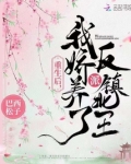重生后,我娇养了反派镇北王