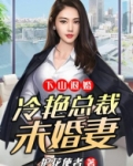 下山退婚冷艳总裁未婚妻笔趣阁