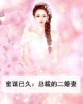 蜜谋已久:总裁的二婚妻小说