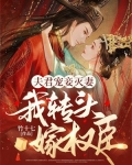 夫君宠妾灭妻,我转头嫁权臣百度云