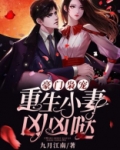 豪门枭宠：重生小妻凶凶哒