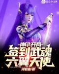 神印：开局签到武魂六翼天使！