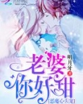 恶魔心头宠:老婆,你好甜之类的小说