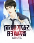 你惹不起的赘婿 小说