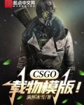 csgo载物模版在线阅读