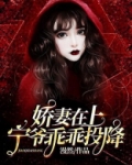 宁爷宠妻有点甜完整版