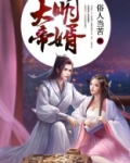 大明赘婿小说