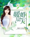 暖婚100天全文免费阅读我的书架