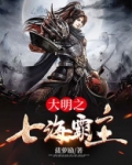 大明之七海惊鸿 小说