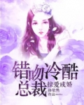 掠爱成婚：错吻冷酷总裁