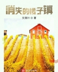 消失的橘子镇的作者简介