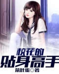 校花的贴身高手在哪里看免费