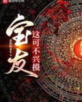 宝友,这可不兴小说