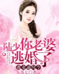 陆先生,你命里缺我陆霆佑
