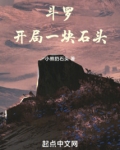 斗罗:开局一块石头免费阅读