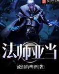 法师亚当小说