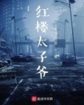 从红楼太子爷开始收录诸天 二木林三日金