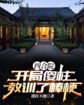 四合院：开局傻柱教训了棒梗！