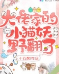 大佬家的小猫妖野翻了下载