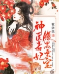 神医毒妃腹黑宝宝