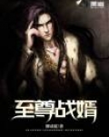至尊战婿林霄秦宛秋