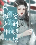 新婚夜，我被少帅宠到腿软