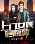 上门女婿是厨神