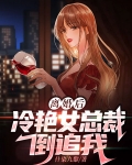 离婚后冷艳总裁跪求复婚小说