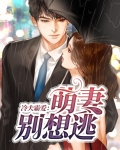 冷王追妻萌妻你别逃