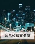 帅气侦探事务所
