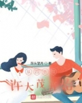 四合院从收拾许大茂开始小说