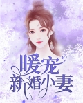 暖婚宠文