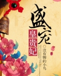 盛宠皇贵妃