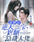 退婚后,三个幼崽把她拉进大佬怀里小说