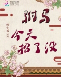 驸马今天篡位成功了吗晋江