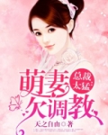 盛婚宠爱霸道总裁偏执爱