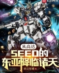 从高达的世界开始穿越