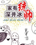 家有统帅,深井冰