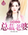 我和完美总裁老婆下载全文
