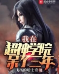 我在超神学院的旅途 小说
