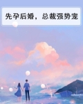 先孕后婚，总裁强势宠