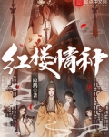 红楼情侣