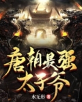 唐朝最强太子爷 小说