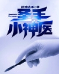 俺有大志小说圣手小神医